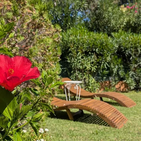 Ferienhaus Feba Con Giardino A 400m Dal Mare Costa Rei